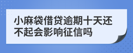 小麻袋借贷逾期十天还不起会影响征信吗