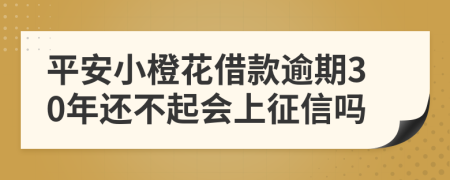 平安小橙花借款逾期30年还不起会上征信吗