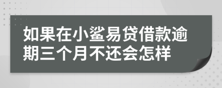 如果在小鲨易贷借款逾期三个月不还会怎样