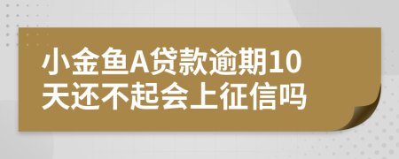 小金鱼A贷款逾期10天还不起会上征信吗