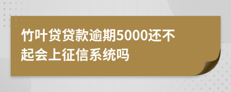 竹叶贷贷款逾期5000还不起会上征信系统吗