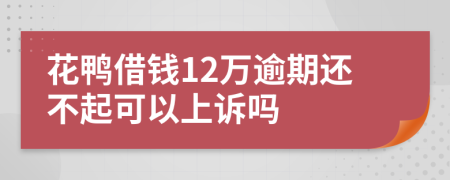 花鸭借钱12万逾期还不起可以上诉吗