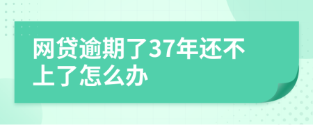 网贷逾期了37年还不上了怎么办