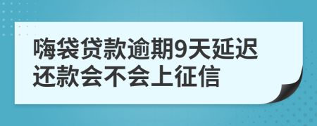 嗨袋贷款逾期9天延迟还款会不会上征信