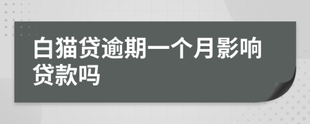 白猫贷逾期一个月影响贷款吗