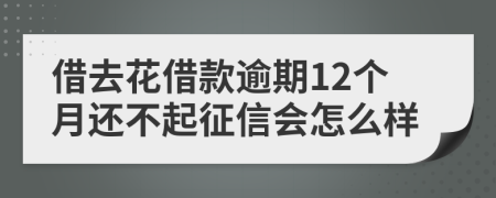 借去花借款逾期12个月还不起征信会怎么样