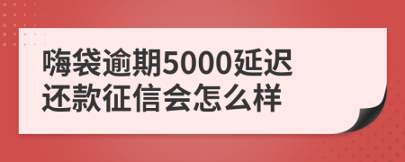 嗨袋逾期5000延迟还款征信会怎么样