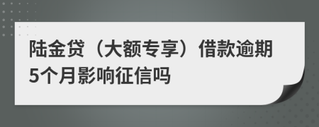 陆金贷（大额专享）借款逾期5个月影响征信吗