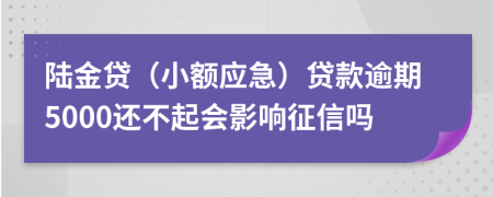 陆金贷（小额应急）贷款逾期5000还不起会影响征信吗