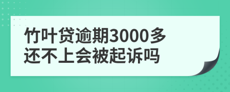 竹叶贷逾期3000多还不上会被起诉吗