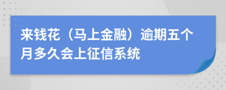 来钱花（马上金融）逾期五个月多久会上征信系统