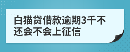 白猫贷借款逾期3千不还会不会上征信