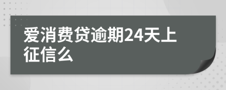 爱消费贷逾期24天上征信么