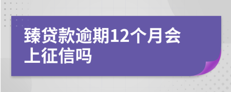 臻贷款逾期12个月会上征信吗