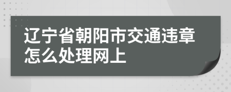 辽宁省朝阳市交通违章怎么处理网上