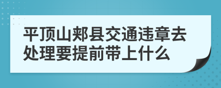 平顶山郏县交通违章去处理要提前带上什么