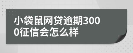 小袋鼠网贷逾期3000征信会怎么样