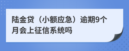 陆金贷（小额应急）逾期9个月会上征信系统吗