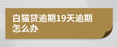 白猫贷逾期19天逾期怎么办