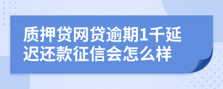 质押贷网贷逾期1千延迟还款征信会怎么样