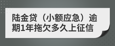 陆金贷（小额应急）逾期1年拖欠多久上征信