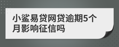 小鲨易贷网贷逾期5个月影响征信吗