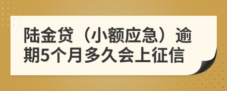 陆金贷（小额应急）逾期5个月多久会上征信