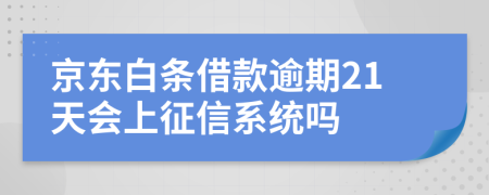 京东白条借款逾期21天会上征信系统吗