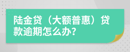 陆金贷（大额普惠）贷款逾期怎么办？