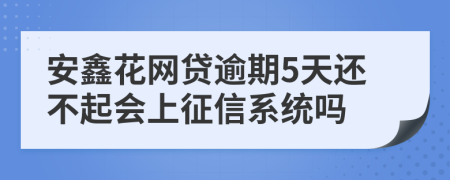 安鑫花网贷逾期5天还不起会上征信系统吗