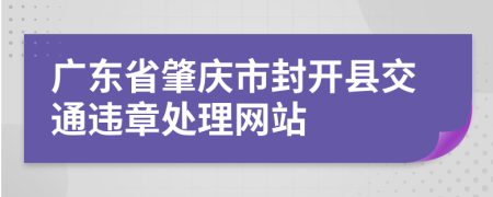 广东省肇庆市封开县交通违章处理网站