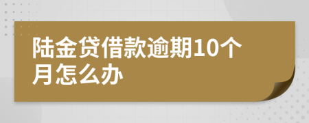 陆金贷借款逾期10个月怎么办