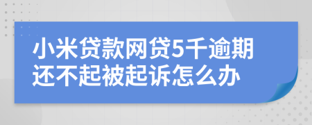 小米贷款网贷5千逾期还不起被起诉怎么办