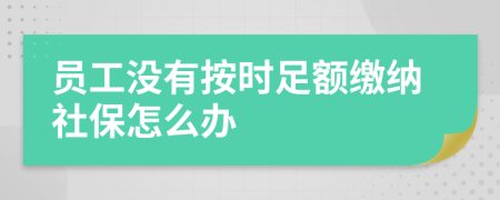 员工没有按时足额缴纳社保怎么办