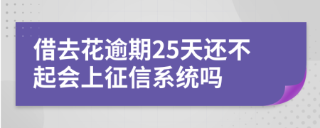 借去花逾期25天还不起会上征信系统吗