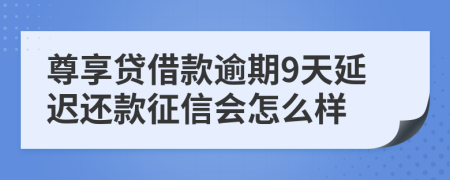 尊享贷借款逾期9天延迟还款征信会怎么样