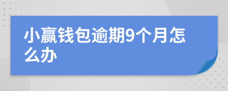 小赢钱包逾期9个月怎么办