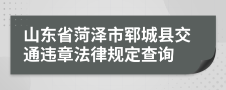 山东省菏泽市郓城县交通违章法律规定查询