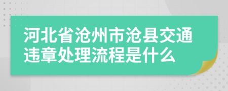 河北省沧州市沧县交通违章处理流程是什么