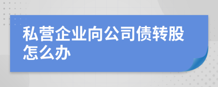 私营企业向公司债转股怎么办