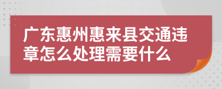 广东惠州惠来县交通违章怎么处理需要什么