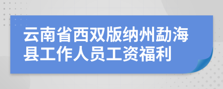 云南省西双版纳州勐海县工作人员工资福利