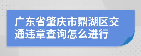 广东省肇庆市鼎湖区交通违章查询怎么进行