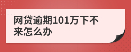 网贷逾期101万下不来怎么办