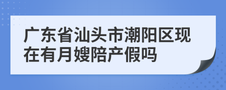 广东省汕头市潮阳区现在有月嫂陪产假吗