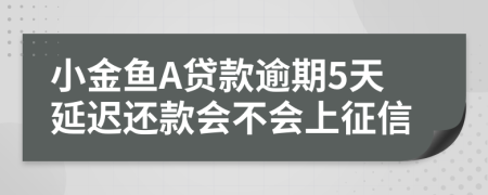 小金鱼A贷款逾期5天延迟还款会不会上征信