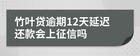 竹叶贷逾期12天延迟还款会上征信吗