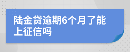 陆金贷逾期6个月了能上征信吗