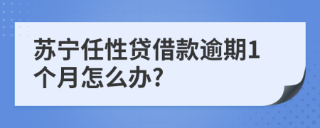 苏宁任性贷借款逾期1个月怎么办?