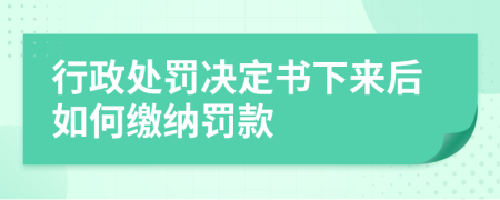 行政处罚决定书下来后如何缴纳罚款